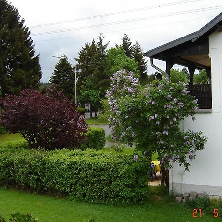 Urlaub Auf Dem Bauernhof Marx Villa Kelberg Exterior foto